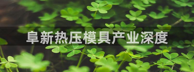 易倍达科技有限公司代运营：阜新热压模具产业深度