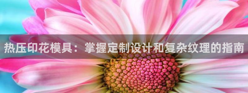 上海易倍投资有限公司：热压印花模具：掌握定制设计和复杂纹