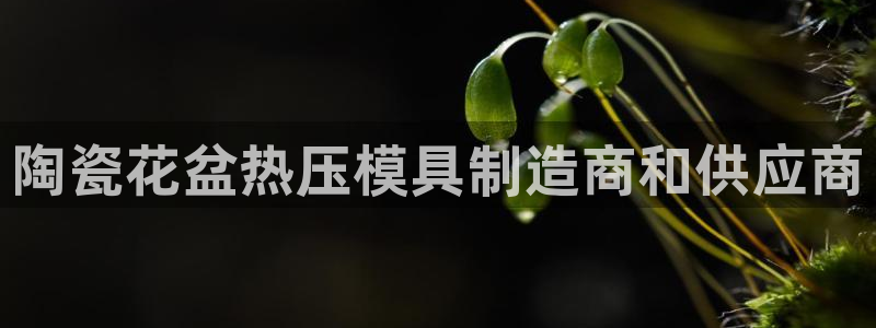 EMC易倍官方网址